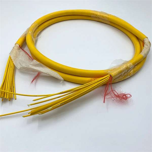 Fiber Optic ONU Switch
