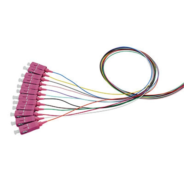 800GPoE Switch Original Product